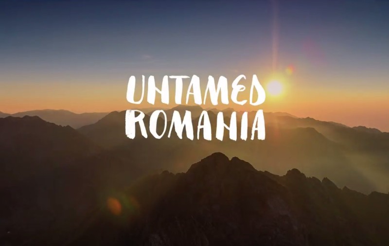 VIDEO România neîmblânzită, imagini fabuloase din pădurile României, într-un film britanic care ajunge azi și în România. Azi este Ziua Internațională a Pădurilor