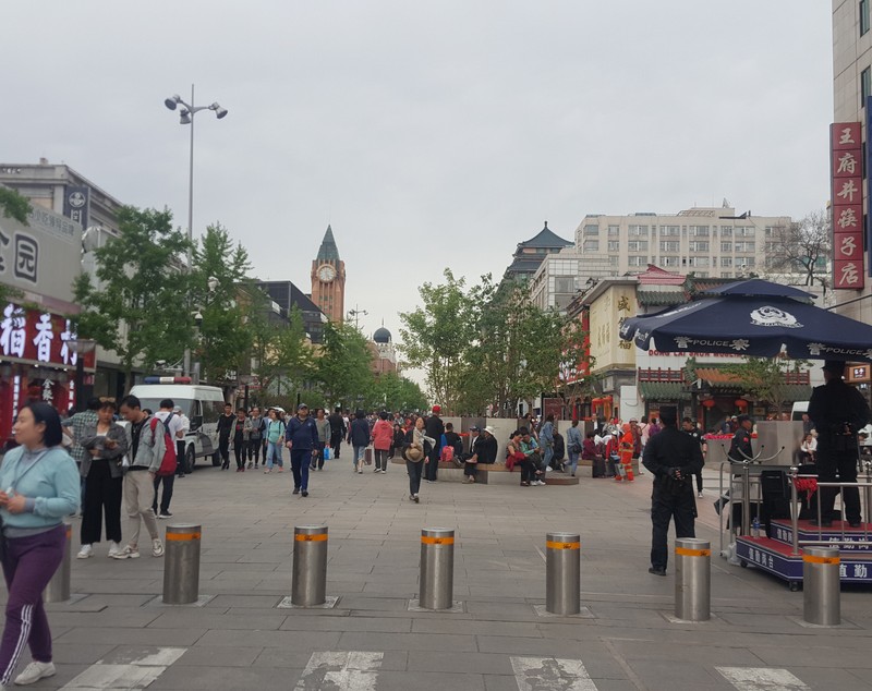 CORESPONDENȚĂ DIN SICHUAN și BEIJING, ULTIMUL CAPITOL | Scriitoarea Doina Ruști, despre plimbarea pe strada unuia dintre cei mai importanți poeți chinezi și excursia la Marele Zid