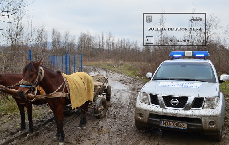 Polițiștii de frontieră au fost ULUIȚI când au văzut ce duce un puști de 16 ani în căruță. Au dat nisipul la o parte și surpriza a fost URIAȘĂ