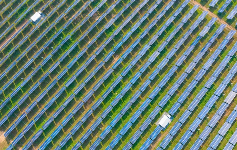 O vastă rețea de panouri solare. Poză cu caracter ilustrativ. Foto: Envato