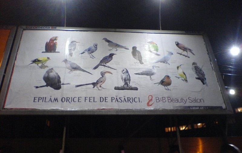 FOTO -  O lume nebună, nebună!