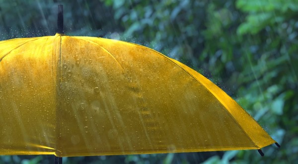 O umbrelă galbenă în ploaie