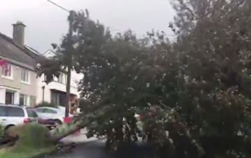 VIDEO | Marea Britanie lovită de furtuna Ali: vânt puternic, drumuri închise și traficul aerian blocat