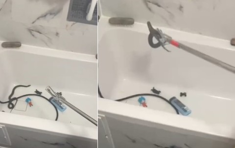 Se încearcă prinderea unui șarpe care se află într-o cadă, în baie