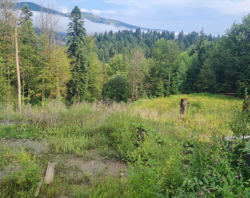 Proiectul Nordis Sinaia, unde un apartament era vândut cu peste 470.000 de euro, a rămas doar o groapă abandonată printre buruieni. Ce spun autoritățile din oraș