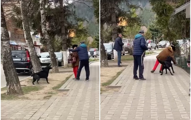 Femeie atacată și trântită la pământ de un câine, la Nehoiu. Trecătorii nu au intervenit. VIDEO