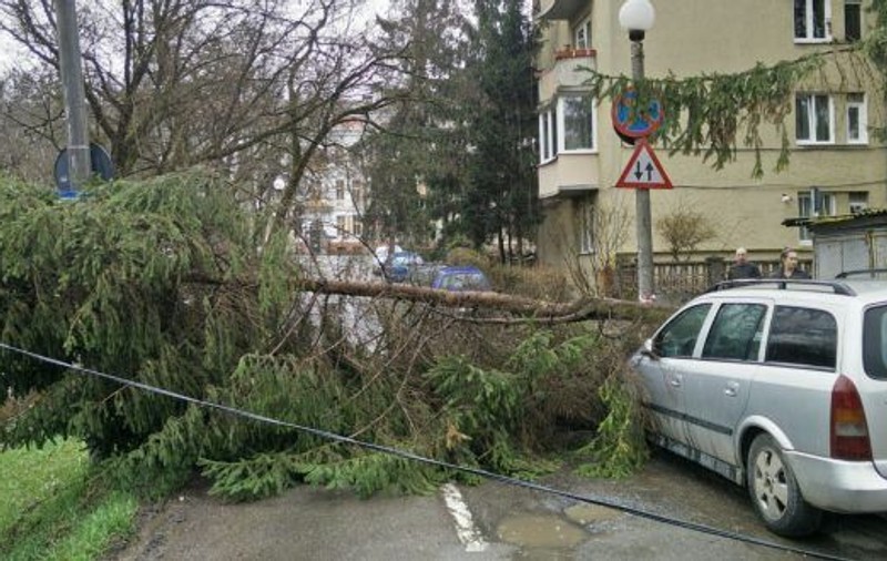 O fetiță de cinci ani din Mureș a murit, după ce un copac smuls de furtună a căzut peste ea