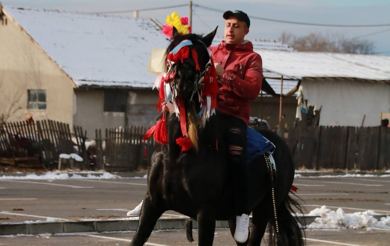REPORTAJ: Localnicii din orașul lui Nea Mărin şi-au botezat caii pentru a-i feri de boli. Imagini superbe cu cei mai frumoși cai/ GALERIE FOTO