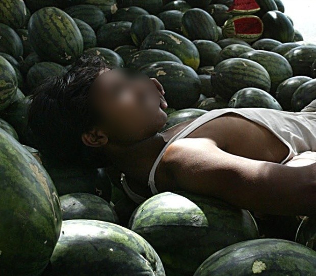 Arhiva foto