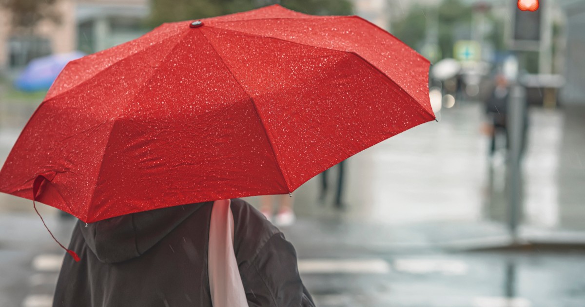 În imagine este ilustrată o femeie care ține o umbrelă roșie în mână, în timp ce așteaptă la semafor. Afară plouă