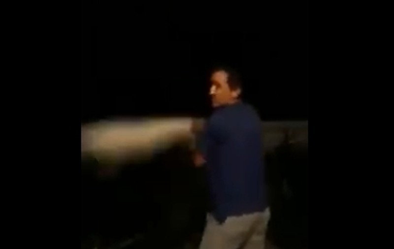 Imagini șocante! Un constănțean a fost filmat în timp ce își bătea joc de o pisică pentru a-și „distra” copilul! „Aşa se chinuie o mâţă, mă!”