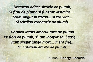 Poezia Plumb de Bacovia