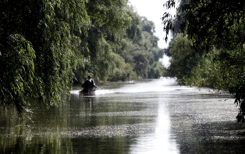 FOTOREPORTAJ/ Prin Delta Dunării, în căutarea sălbăticiei