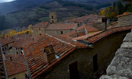 Arhiva foto