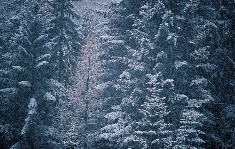PROGNOZA METEO | Cum va fi VREMEA în WEEKEND