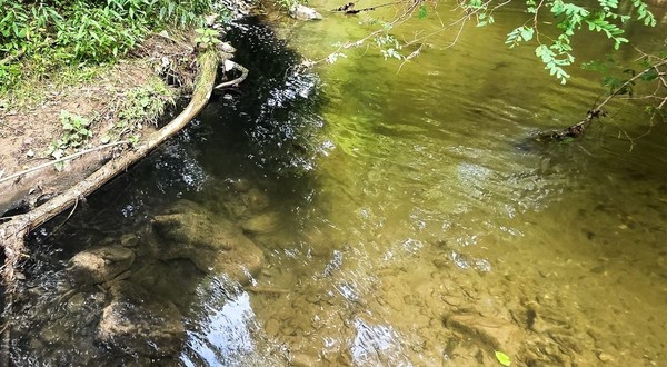 Poluarea râului Vâlsan de către stația de epurare Brădetu, 30 august 2026. Sursă foto: Fundația Centura Verde.