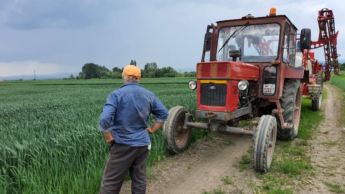 Un fermier care stă cu mâinile în șold și se uită la un lan de grâu, are lângă el un tractor