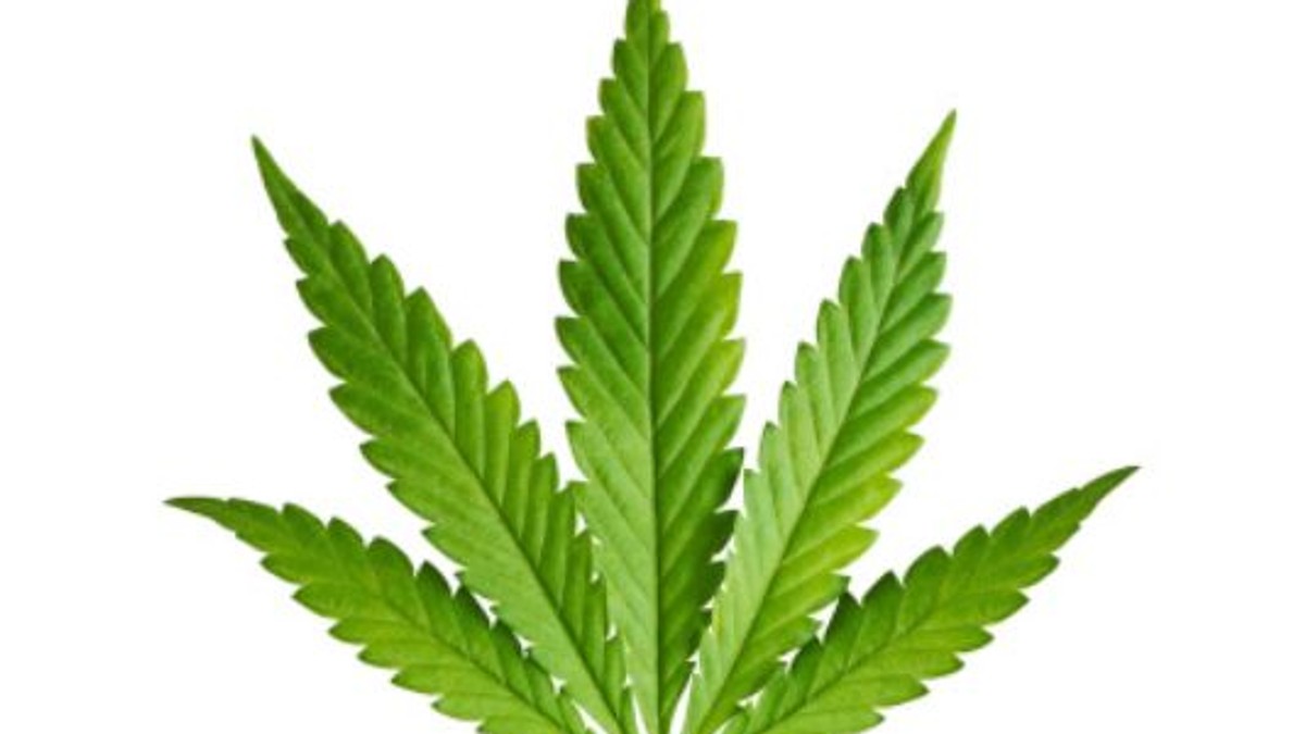 Un sucevean a fost prins în trafic cu un kilogram de cannabis