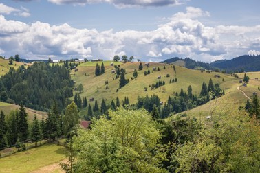 Arhiva foto