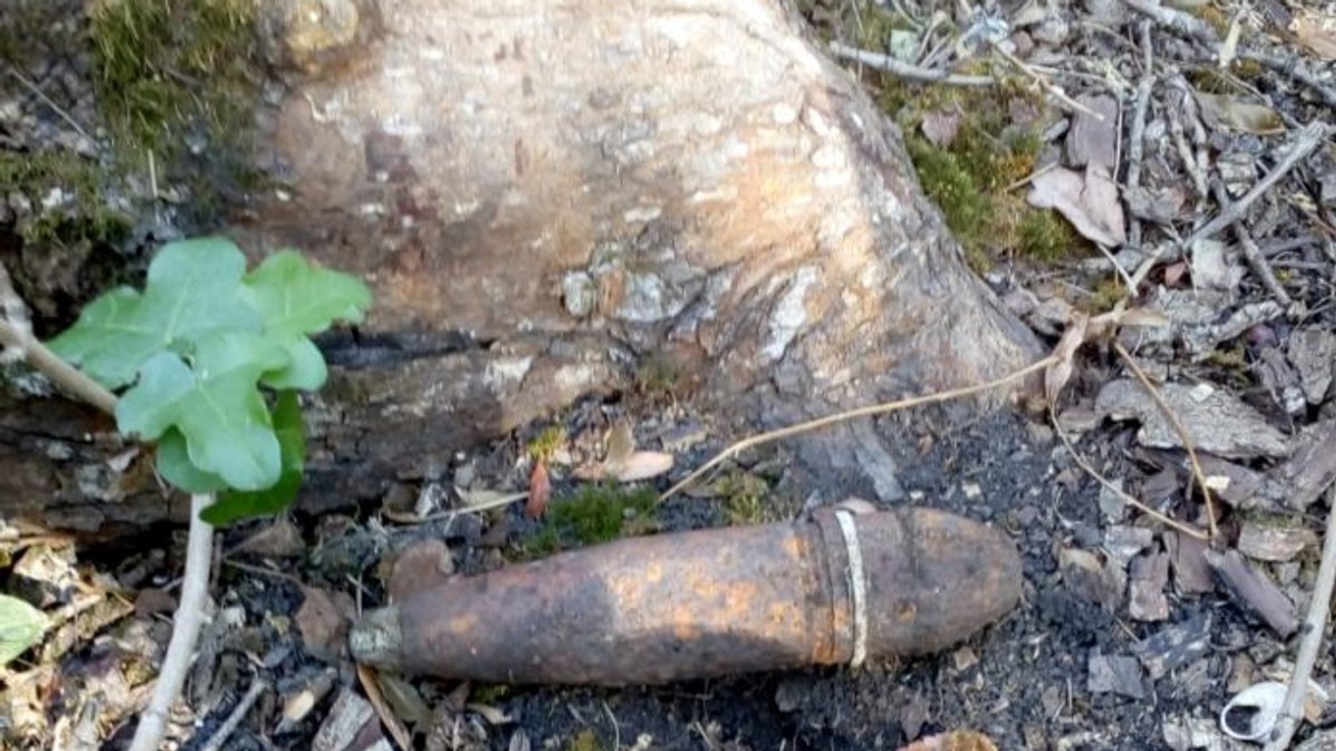 Șase bombe din timpul războiului au fost găsite într-o pădure din Vrancea