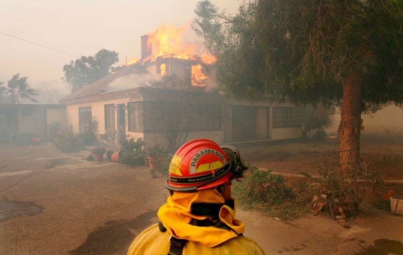 Castronul de apă al câinelui a provocat incendierea casei