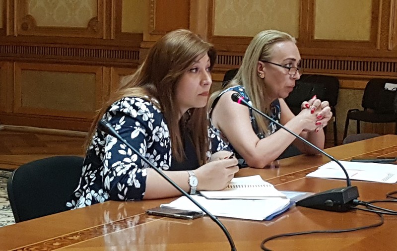VIDEO / Claudia Nicolae, șefa Agerpres, audiată în Comisia de cultură, după scandalul predării arhivei foto şi video de la protestul diasporei, la cererea poliției lui Carmen Dan: „Nu s-a încălcat nicio lege”