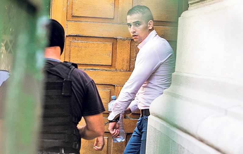 Alexandru-Mihai Bitu, acuzat de furtul tablourilor din Olanda, vrea în libertate ca să meargă la facultate