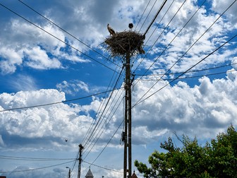 Cuib de berze pe unul din stâlpii de electricitate