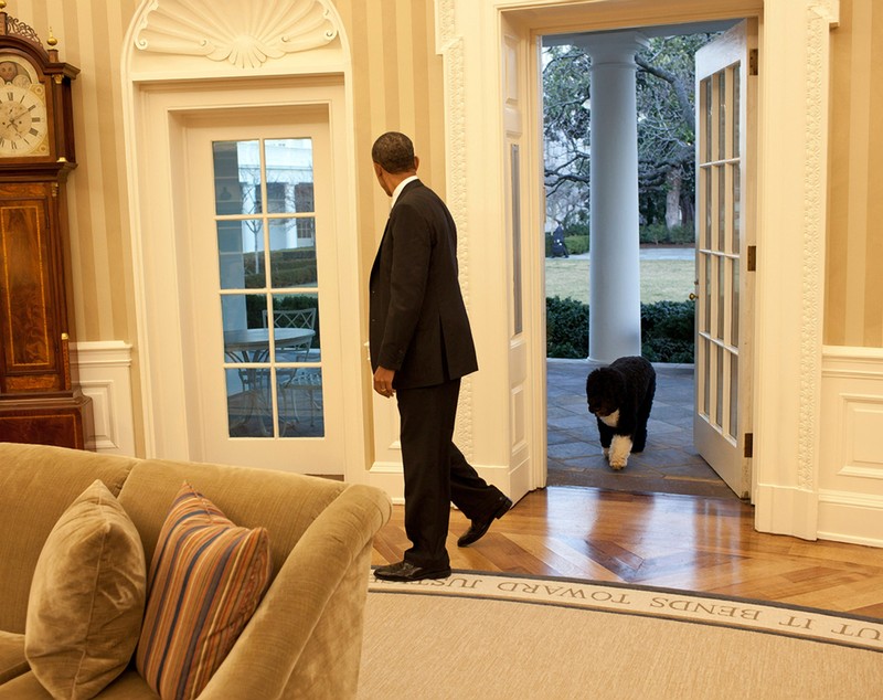 Bo, unul dintre câinii familiei Obama, a murit. Barack Obama: „Ne va fi tare dor de el”