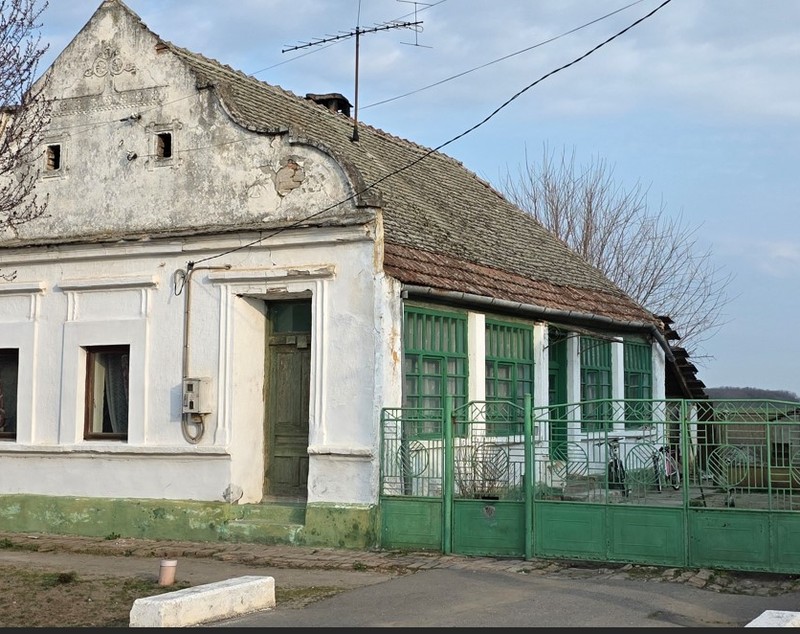 Bătrâna misterioasă care deține în acte „Peleșul” lui Gradu Cârpaci din Timișoara. Rudele spun că abia „are cât să se descurce de pe o zi pe alta”