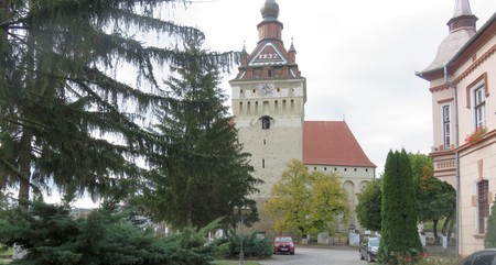 Arhiva foto