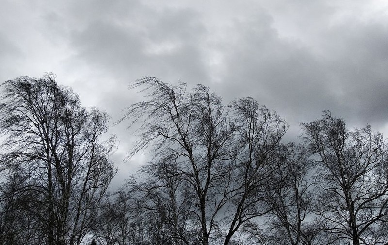 Cod galben de vânt puternic cu rafale de până la 120 km/h, joi și vineri. Alertă meteo în mai bine de jumătate de țară
