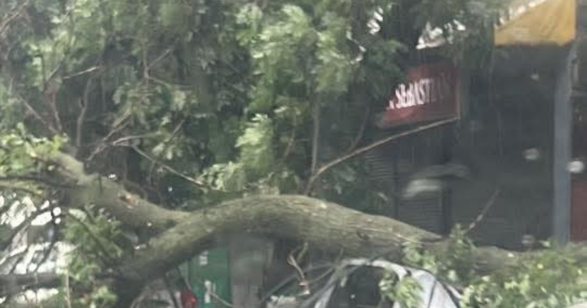 Furtună puternică în București. Foto Meteoplus