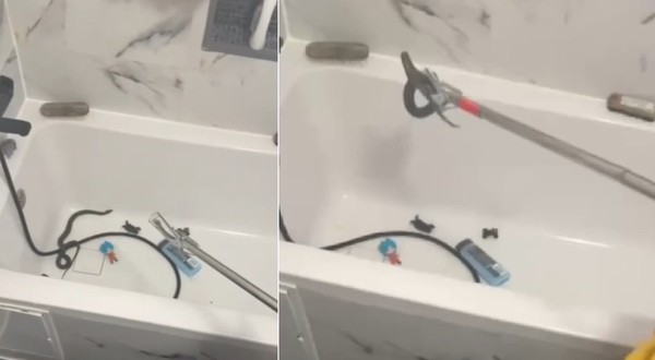 Se încearcă prinderea unui șarpe care se află într-o cadă, în baie