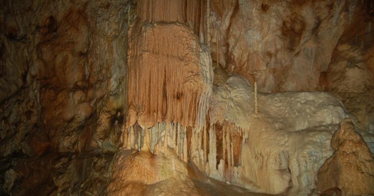 Arhiva foto