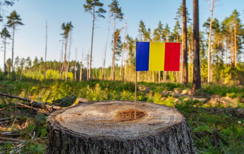 Adevărata revoluție. Cei zece pași care chiar ar schimba România