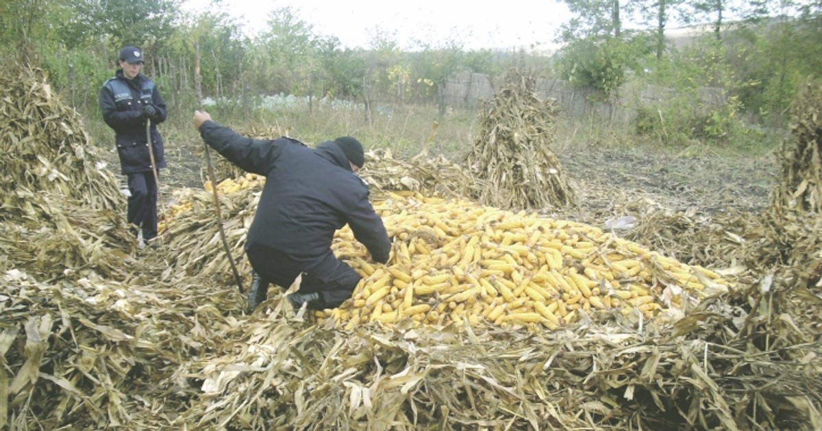 Arhiva foto