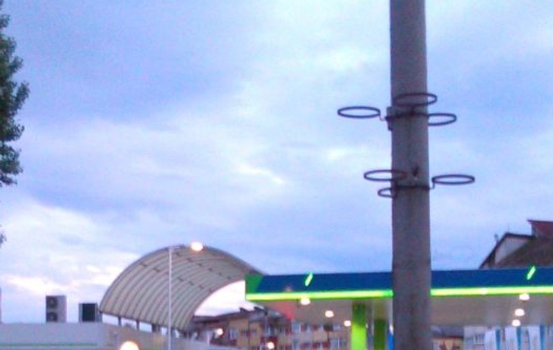 Se întâmplă în Alba Iulia! Trei cai pasc într-un scuar din centrul orașului