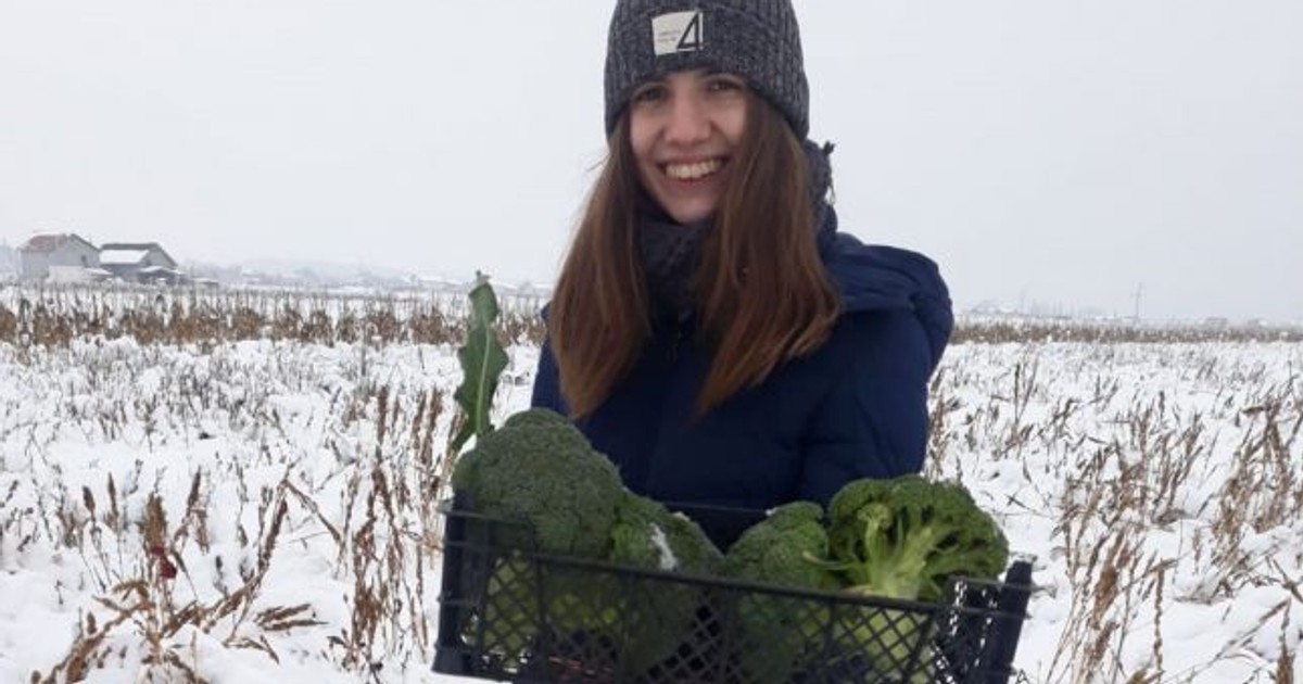 Studenta din Dolj care strânge recolta de broccoli din zăpadă