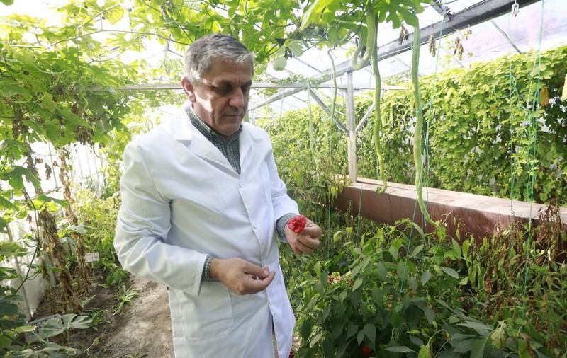 Directorul Băncii Naționale de Gene, cercetătorul Costel Vânătoru, a fost demis. În locul lui a fost numit un jurist