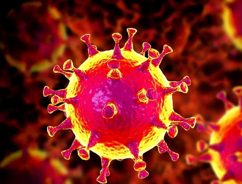 Noul coronavirus, văzut la microscop