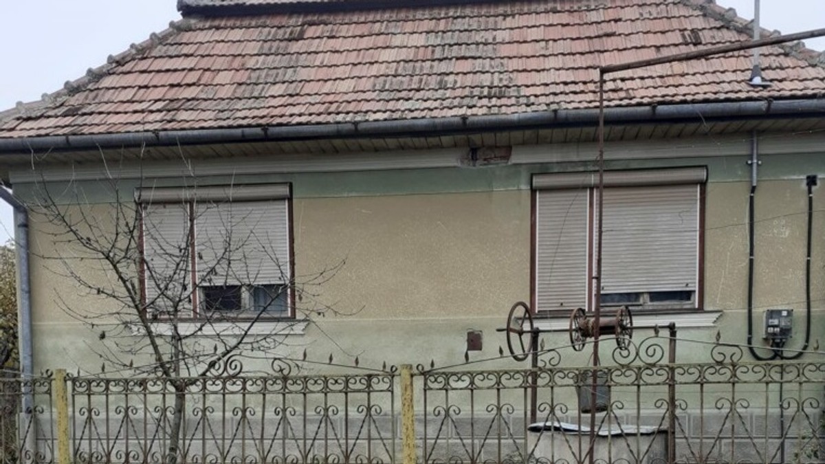 Arhiva foto