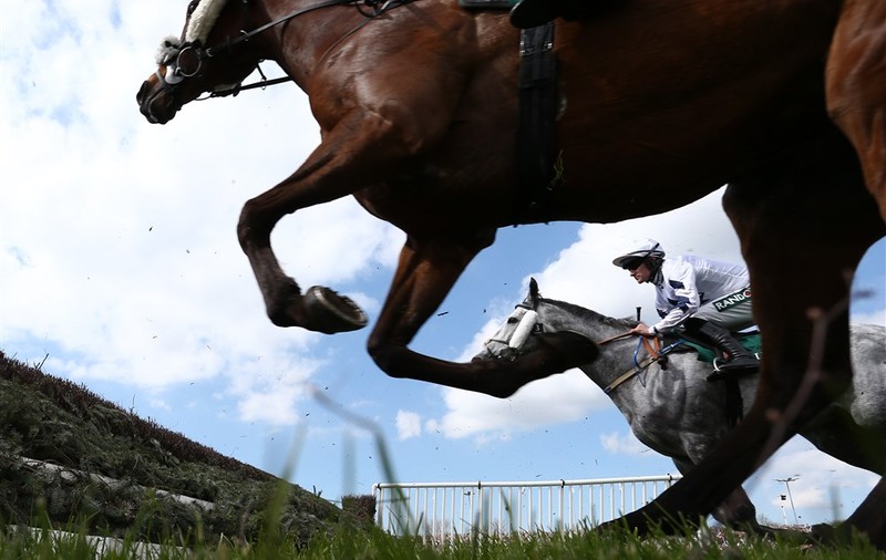 Cursa anuală de cai Grand National din Marea Britanie, amânată din cauza protestelor pentru drepturile animalelor