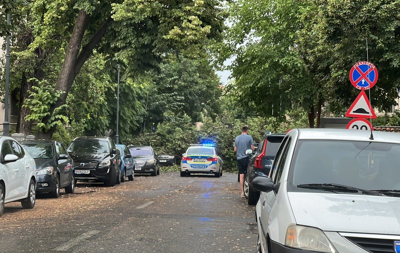 Furtuna din București a blocat străzi întregi, vântul a doborât copacii și a făcut imposibilă trecerea și pentru pietoni