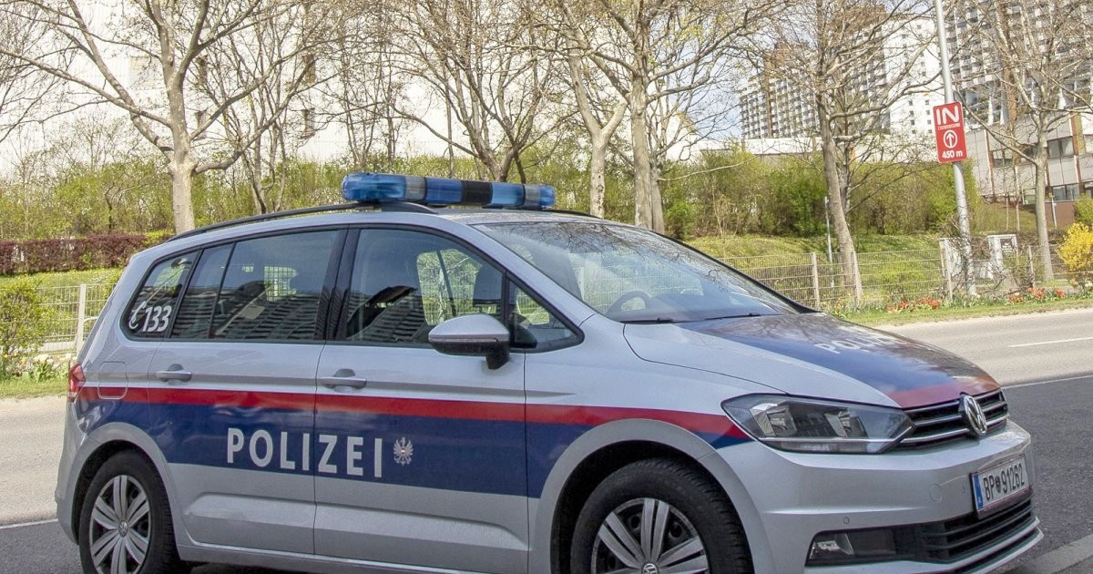 Mașină de poliție din Austria. Fotografie cu caracter ilustrativ: Profimedia