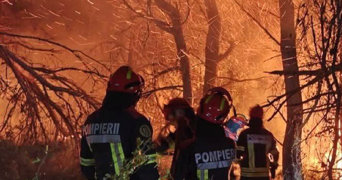 Pompieri români în timpul unei misiuni de stingere a unui incendiu de pădure