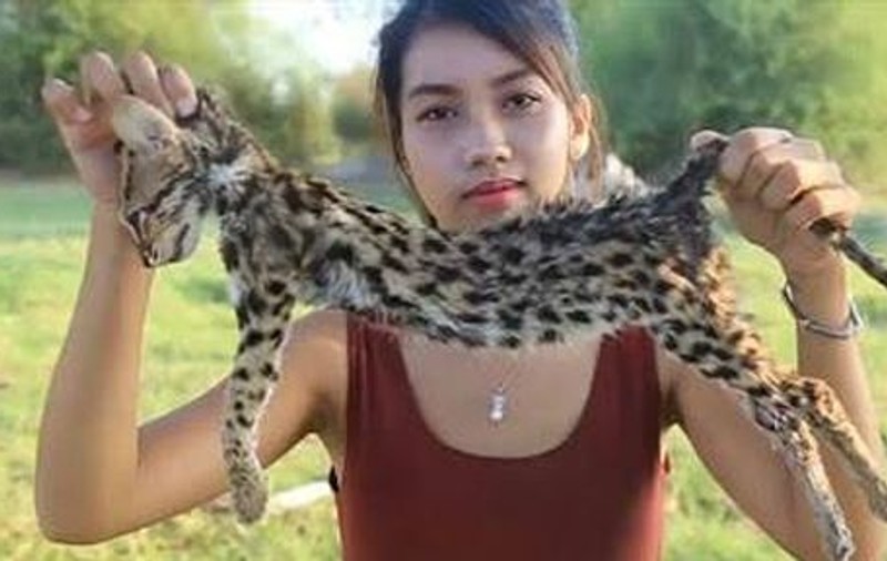 VIDEO | O femeie a jupuit, gătit și mâncat animale pe cale de dispariție pentru a câștiga bani pe Youtube