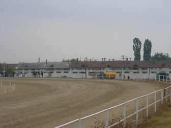 Arhiva foto