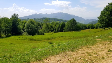 Islazul comunal din Sălătrucu