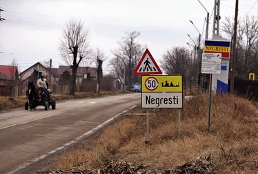 Intrarea în orașul Negrești, Vaslui